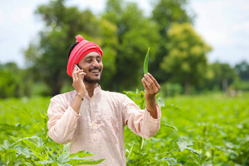 Wall Mural - Indian farmer talking on smartphone at agriculture field.