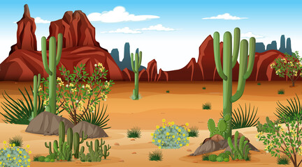 Canvas Print - Desert forest landscape at daytime scene with many cactuses