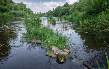 A river with patches of grass and stones of scattered running to the horizon. Long exposure shot. The banks overgrown with lush vegetation. Generic vegetation, scenic destinations, landscapes.