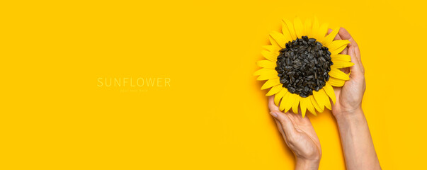Fotomurales - Beautiful fresh sunflower with sunflower seeds in female hands on yellow background Flat lay. Harvest time agriculture farming. Healthy oils, food. Sunflower natural background top view copy space