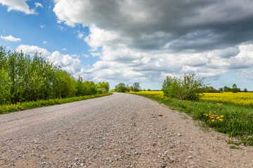 Scenic grey gravel road at countryside during intermittent cloudy spring day.  Low angle photo of pebbly street curving between green bushes, yellow rapeseed fields, and blooming dandelion flowers.