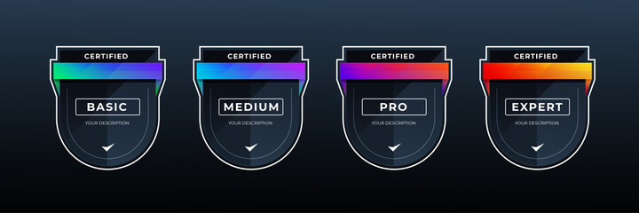 Wall Mural - certified shield badge for professional business in colorful shape. vector game certification icon t