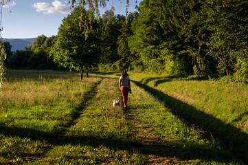 Woman walking with little dog deep in countryside, with beautiful nature around in golden hour. Rear view.