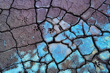 Abstract Cracked Mud