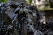 a forged acanthus at the historic Catholic cemetery in Warsaw, a blurred view of the cemetery in the background