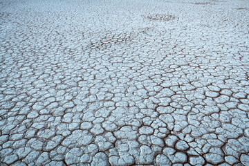 Poster - Cracked land texture close up