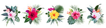 Exotic Tropical Flowers, Orchid, Strelitzia, Hibiscus, Bougainvillea, Gloriosa, Palm, Monstera