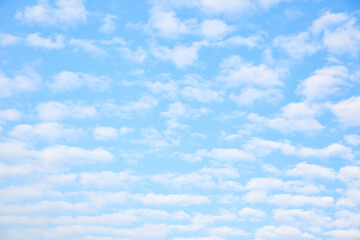 Wall Mural - multitude white small clouds in the sky