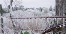 Barbed Wire Fence Covered In Icicles Wide 4k