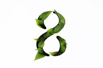 the number eight is cut out in white paper and filled with green leaves. silhouette number 8 with green leaves