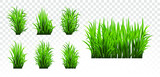 Fototapeta  - Fresh green grass: natural, organic, bio, eco label and shape isolated on white background. Vector illustration.