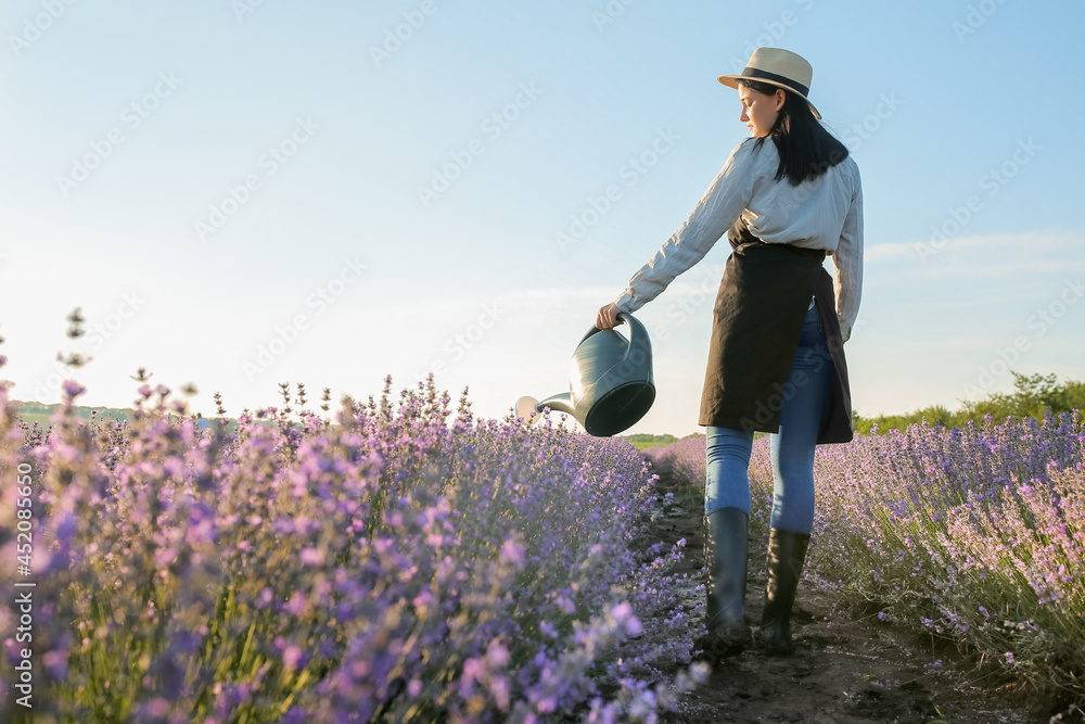 Female farmer with watering can in lavender field