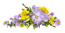 Purple Freesias Yellow Rudbeckia And Chrysanthemum Flowers In A Line Floral Arrangement Isolated