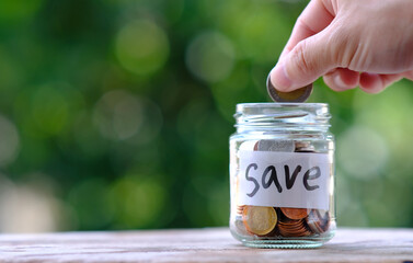 Poster - Coins in jar on green background and saving money and business growth concept,finance and investment concept, Growth money of profitability of professional investment.