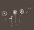 Hand drawn set of white dandelion, dandelion with flying seeds in cute doodle style. Vector illustratin for fabric, card design or baby clothings.