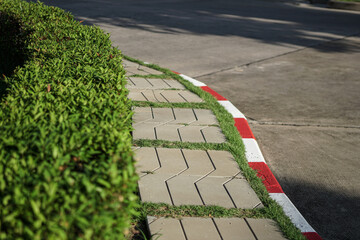 Sticker - road in the park with grass