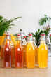 variety of fermented drinks, kombucha in glass bottles