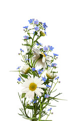 Wall Mural - daisies and blue forget-me-not (brunnera) flowers in a summer floral arrangement isolated