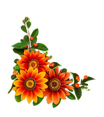 Wall Mural - African chamomile with green leaves and orange berries in a corner floral arrangement isolated on white
