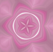 Pink Round Circular Starfish Pattern