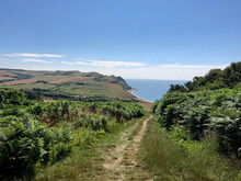 Trail Along The South West Coast Path In Dorset, UK
