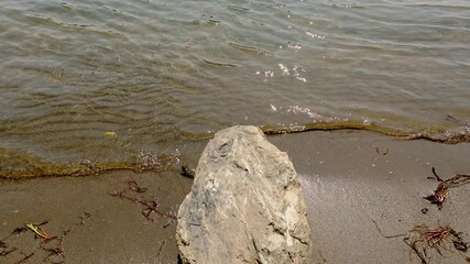 Wall Mural - Rock on sand next to water 