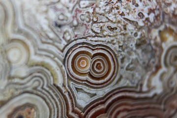 Wall Mural - smooth circular structures on mexican laced agate