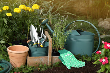 Wall Mural - Beautiful flowers and gardening tools on soil at backyard