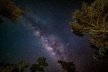 Wall Mural - starry night sky