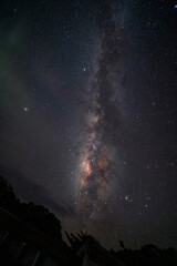 Wall Mural - starry night sky