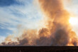 A wide angle of an agricultural field on fire, agriculture and farming field burning, wildfire smoke filling the sky at sunset, daytime