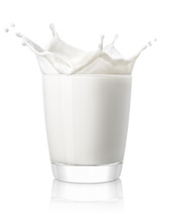 Canvas Print - glass of milk with splash isolated on white