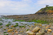 Crique de Pen ar hoat Rosmadec (29560 Telgruc-sur-Mer) à marée basse, département du Finistère en région Bretagne, France