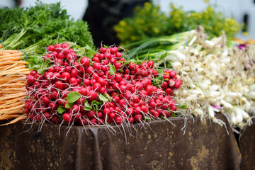 Fresh bio vegetables and herbs on street farmer market. Typical local agricultural fair of weekend. Sale of organic veggies - radishes, carrots, green onions