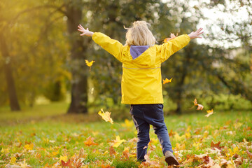 Little boy having fun during stroll in the forest at sunny autumn day. Child playing maple leaves. Baby tossing the leaves up. Active family time on nature. Hiking with little kids.