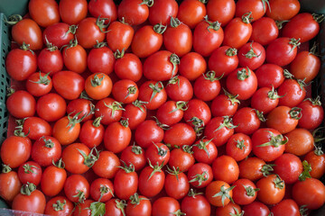 Wall Mural - red tomatoes at the market