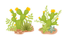 Cactuses With Yellow Flowers Set. Desert Plants Among Sand Vector Illustration