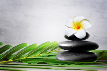 Spa stones with palm branch and flower on light background. Space for text