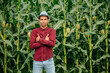 Portrait of a proud african american farmer standing with arms crossed with corn field in background. satisfied farmer agriculturist with hat in red shirt looking at camera.