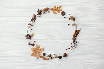 Autumn wreath flat lay. Autumn leaves, berries, nuts, anise, acorns in circle on white wood, autumnal wreath with dried herbs. Happy Thanksgiving and Hello autumn