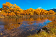 Beautiful autumn colors on Rio Grande river flowing through New Mexico