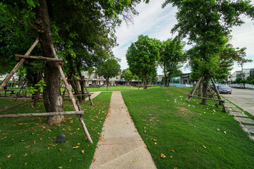 Canvas Print - path in the park