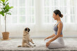 © 220 Selfmade studio - Beautiful Asian woman practice yoga lotus pose with dog pug breed enjoy and relax with yoga at home,Recreation Exercise with Dog ,Wellness woman breathing and meditation with yoga and dog small pet