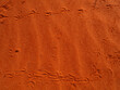 Animal tracks in red centre outback australia sand dune