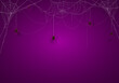 © losw100 - Purple Halloween Background with Spiders