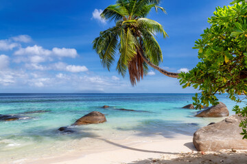 Coco palms at Sunset in tropical beach in paradise island. Summer vacation and tropical beach concept.  