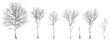 © kozerog2015 - set of silhouettes of trees with imitation of bark. Vector illustration, isolated objects for your design