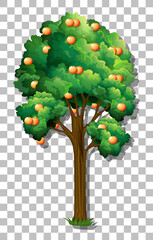 Canvas Print - Orange tree on transparent background