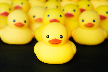 Wall Mural - Closeup of rubber duckies