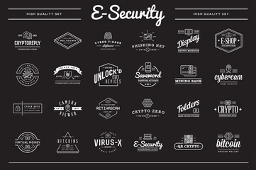 Big Set of Vector Cyber Security Identity Badges and Signs